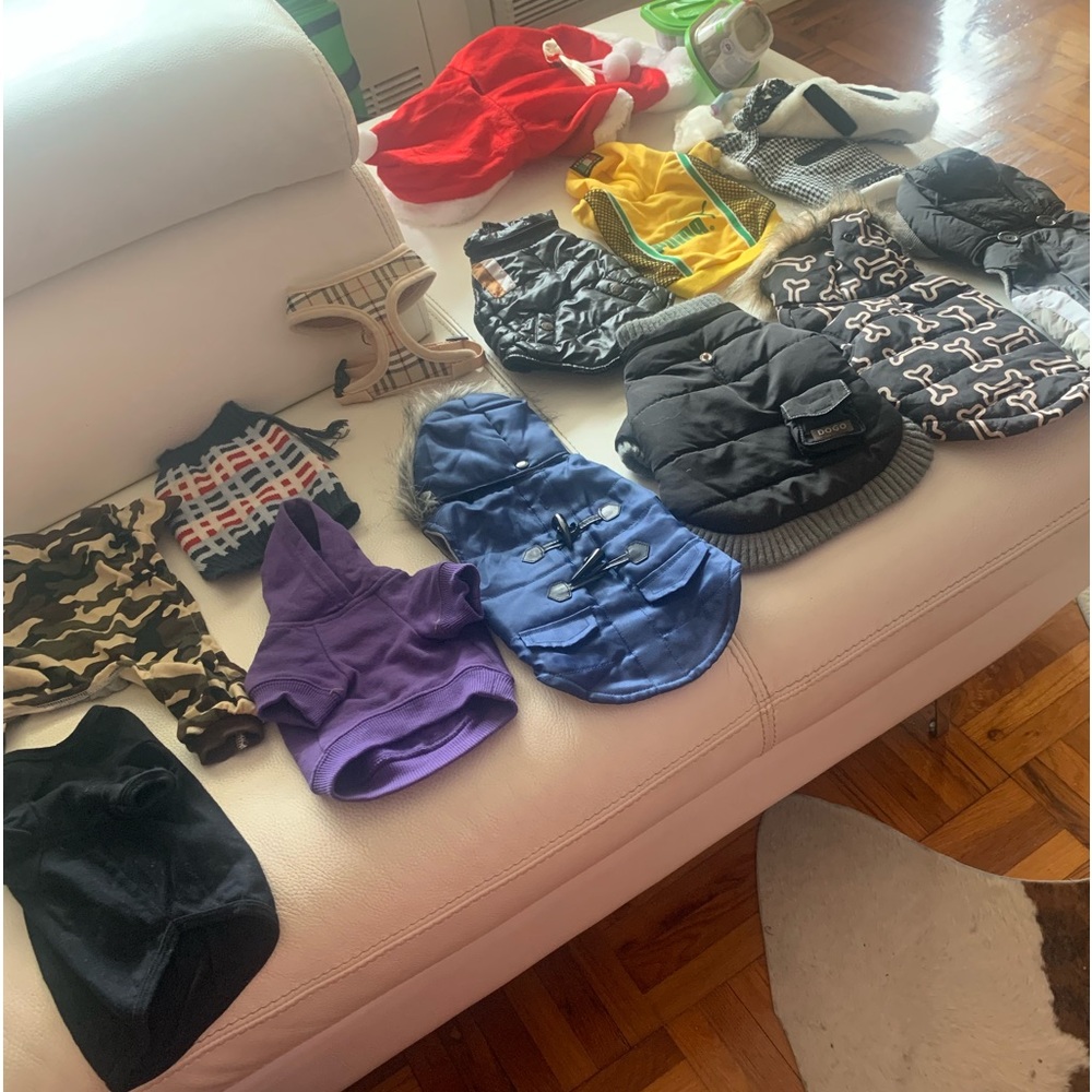 Set of 14 pieces for Dog Yorky in minimum used excellent Condition Offers accept